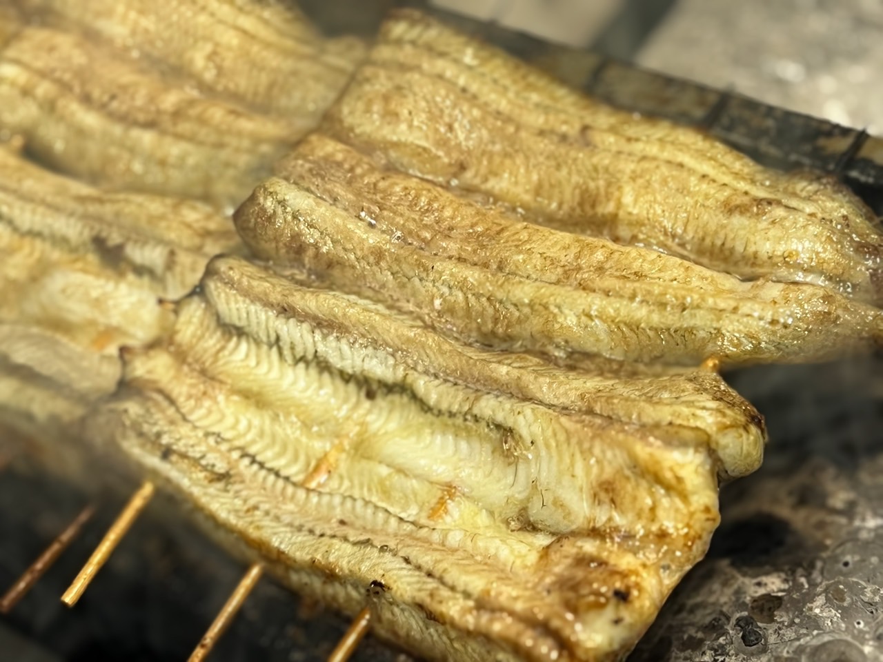 うなぎ双葉木曽